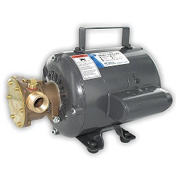 PUMP 1/2IN MOTOR 115V