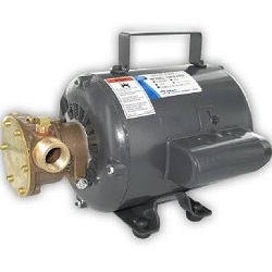 PUMP 1/2IN MOTOR 115VOLT