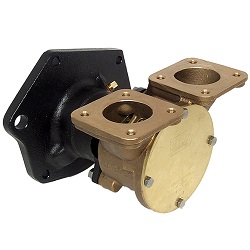PUMP BRONZE