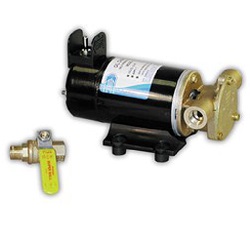 OIL CHANGE PUMP 12V DC CE