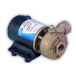 PUMP 3/4IN BRONZE CENTRIFUGAL