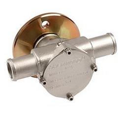 RAW WATER PUMP 8.1 P110